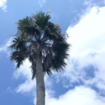 夏季休暇のお知らせ