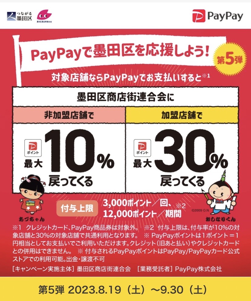 第5弾pay pay30%ポイント還元キャンペーン✨